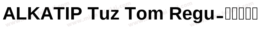 ALKATIP Tuz Tom Regu字体转换